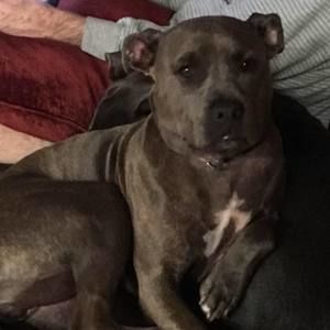 Meet your Posher, Shay